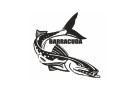 ТОО «BARRACUDA»